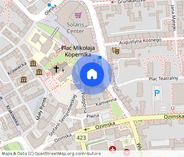 Duży, ładny pokój jednoosobowy - CENTRUM - Zdjęcie 1