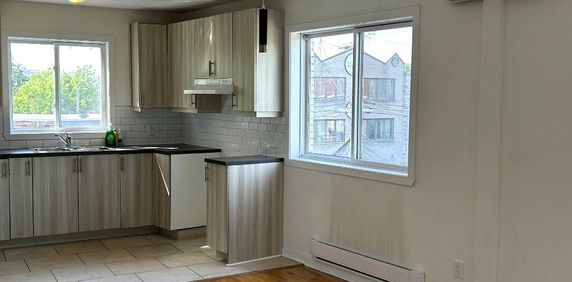 Grand 4 1/2 rénové, un coin tranquille de Villeray–Saint-Michel. - Photo 2