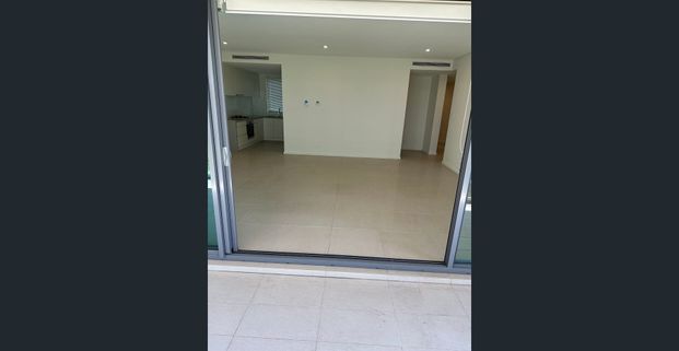 MAGNIFICENT AS NEW APARTMENT - DAJANTHA APARTMENTS - Photo 1