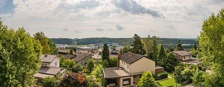 Appartement confortable avec immense terrasse sur le toit - Photo 3