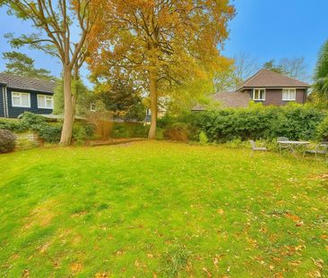 1 bedroom Flat To Let Total Size: 453 SQ FT - Photo 5