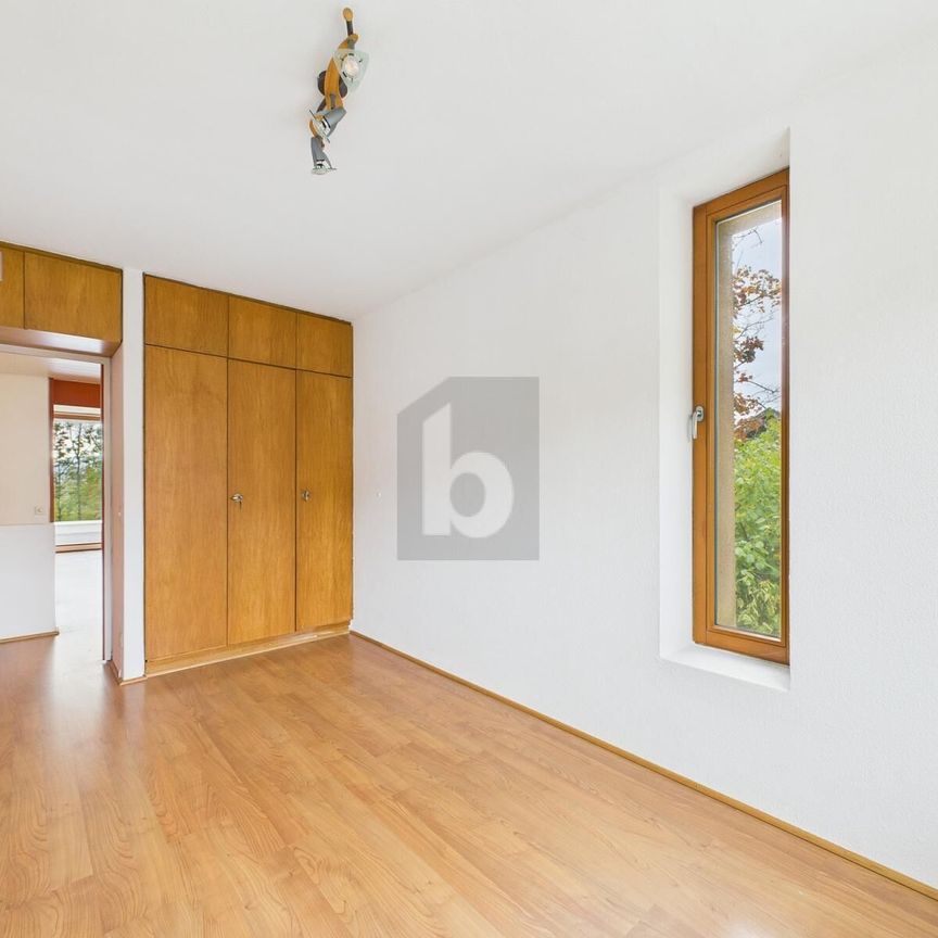 AT THE HEART OF THE GREENERY - Photo 1