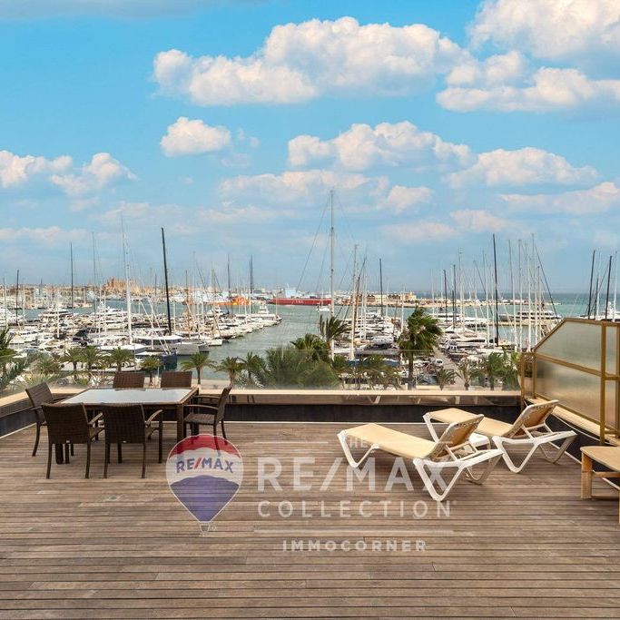 3 room luxury Flat for rent in Palma de Mallorca, Balearic Islands - Photo 1