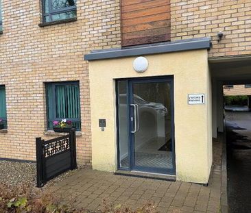 216 Belmont Road, Belfast, BT4 2AT - Photo 2