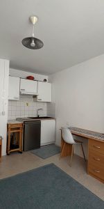 Location Appartement 1 pièce 19m² TOURS 37000 - Photo 3