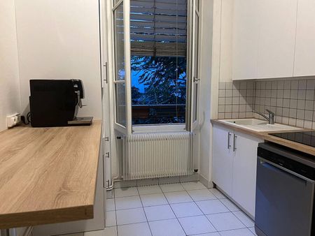 Appartement 5 pièces et plus – LYON - Photo 2