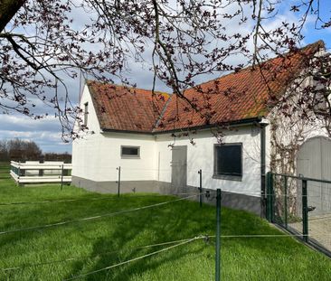 VILLA + kleine weide - Photo 4