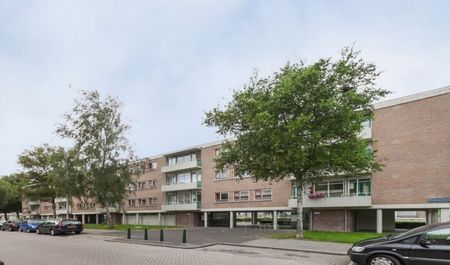 Dirkslandstraat 0ong, 3086 Rotterdam, Nederland - Photo 2