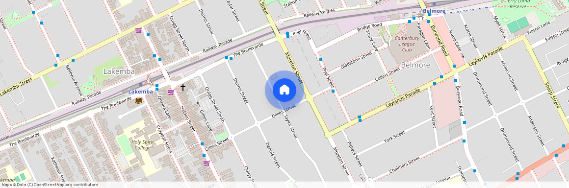 68 Taylor Street, NSW 2195, Lakemba