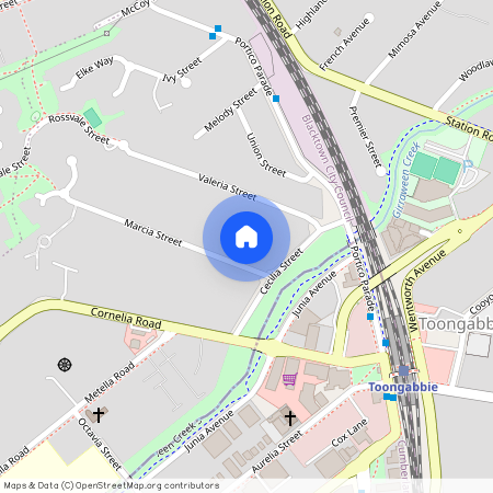 5 Marcia Street Toongabbie, NSW 2146