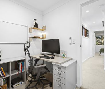 3 Hegarty Street, Glebe NSW 2037 - House For Rent | Domain - Photo 4