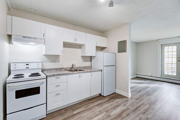 Renovated Suite - 2 Bedroom - Photo 1
