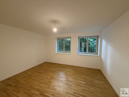 Traumhafte 3-Zimmer-Wohnung in 1230 Wien mit Terrasse und kleiner Grünfläche ! - Photo 5