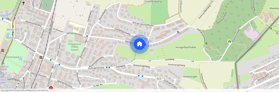 4125, Riehen, Steingrubenweg, 118