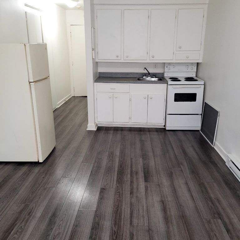 1 CH - 1 SDB - Montréal - $1,095 /mo - Photo 1