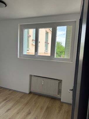 Location Appartement 2 pièces 46m² PONT DE CHERUY 38230 - Photo 1