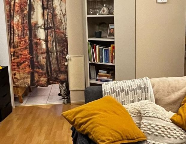 Gemütliche 2-Zimmer-Wohnung ab 1.1.25 in der Bonner Nordstadt - Foto 1