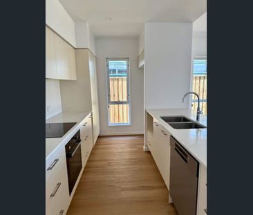 Brand New Family Home in Palmview's Newest Precinct - Photo 6