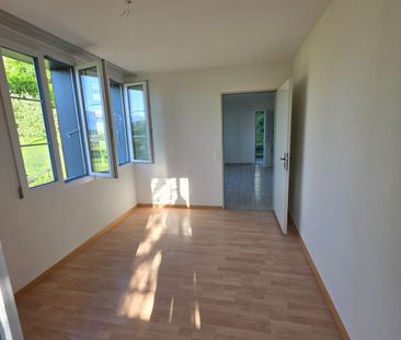 1.5 Zimmer, EG - Photo 6