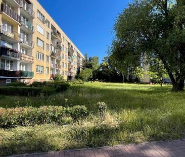 Mieszkanie Częstochowa Tysiąclecie powierzchnia 31.1 m² C225-WM-52092 - Zdjęcie 5