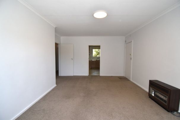 Spacious Apartment & Great Location - Photo 1