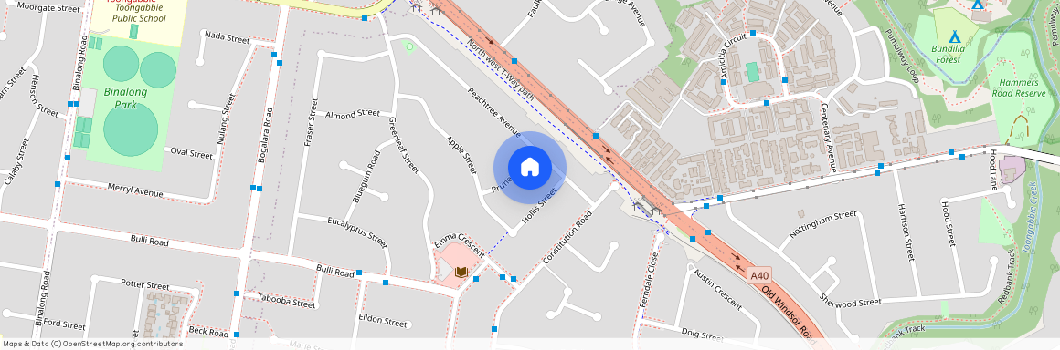 1 Prune Street, Constitution Hill NSW 2145