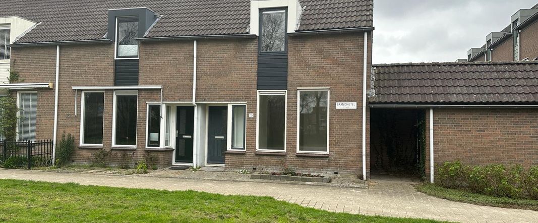 Brandnetel 15 - Foto 1