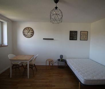 STUDIO MEUBLE PROCHE DARCY - Photo 1