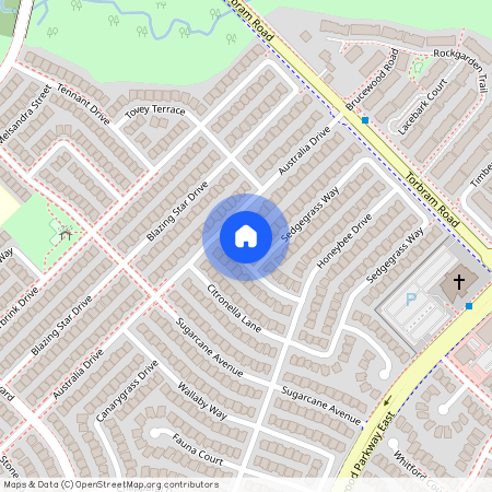 13 Lion Pride Lane, Brampton