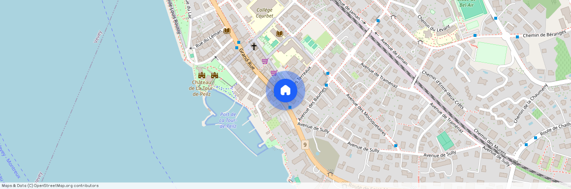 Rue des Terreaux 2, 1814 - LA TOUR-DE-PEILZ, Suisse