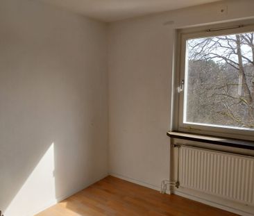 Petreplan 15B - Photo 3