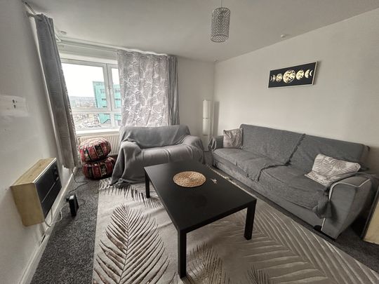 Brightmore Drive Sheffield S3 7NF - Photo 1