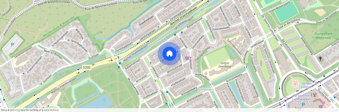 Bohemen en Meer en Bos, 2555 DC, Campanulastraat, Den Haag