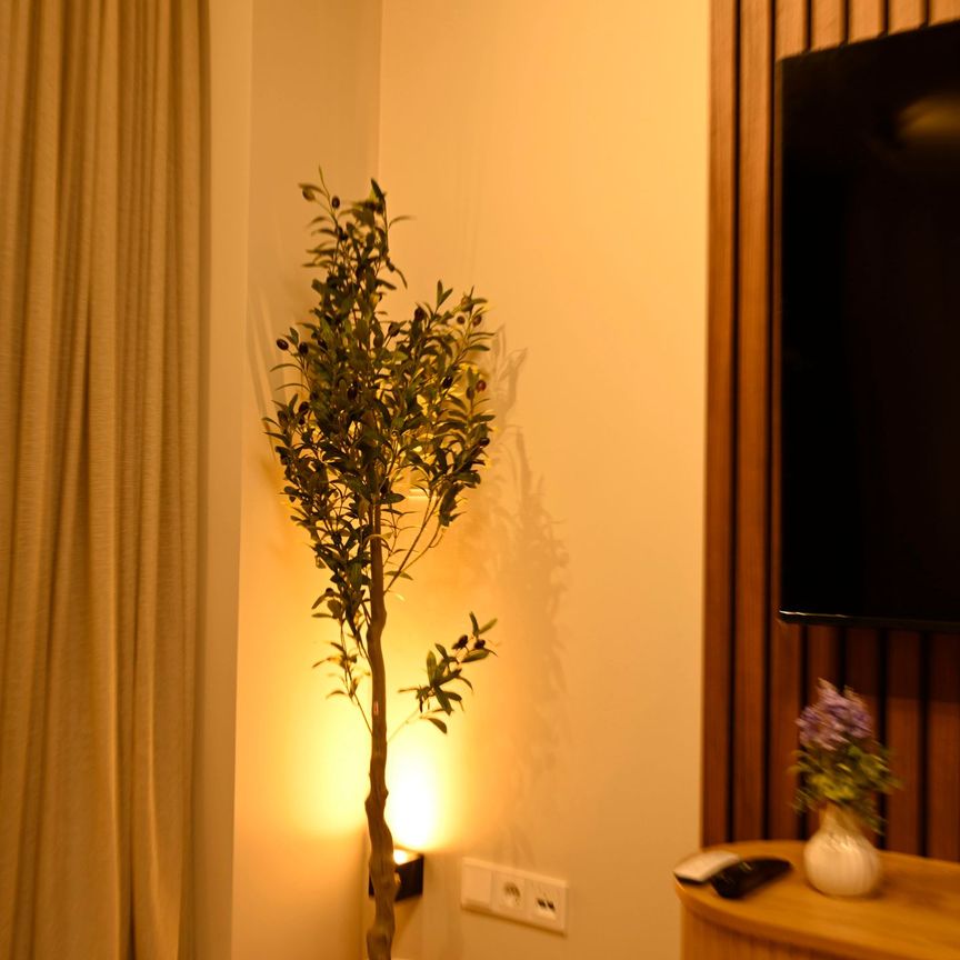 Rijnlandlaan 217, Schipluidenbuurt, 1062MX, Amsterdam - Photo 1