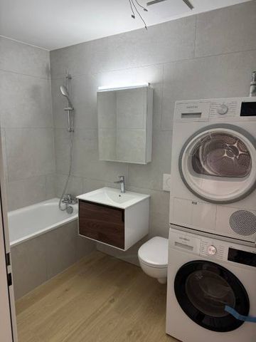 Moderne 4.5-Zimmer-Neubau-Wohnung in Sünikon, 114m2 - Foto 5