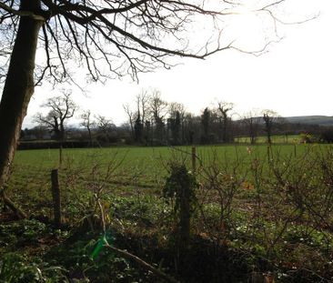2 bedroom bungalow to rent - Photo 4