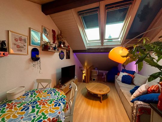 2.5 Zimmer, 30. Stock oder höher - Foto 1