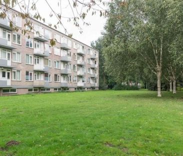 Europalaan 0ong, 5042 Tilburg, Nederland - Foto 1