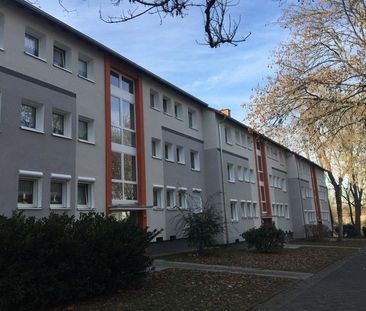 Schöne Wohnung: 3-Zimmer-Stadtwohnung - Foto 1