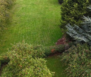 3 bedroom property to rent - Photo 4