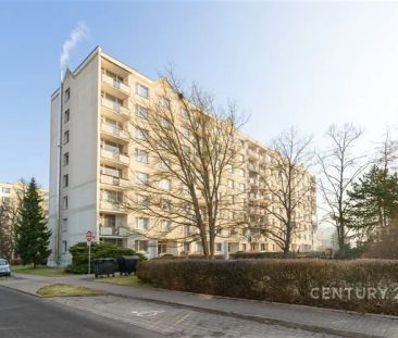 Krásný byt 1+1 po rekonstrukci – ul. Oblouková, Děčín - Photo 5