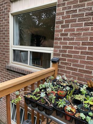 For Lease - 67 Carnival Court, Toronto, Ontario - Photo 1