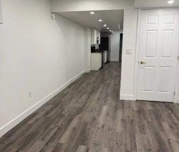 339 Emmett Landing N #BASEMENT - Photo 3