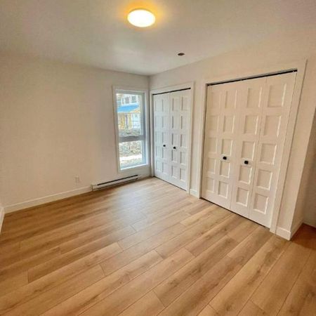 3 CH - 2 SDB - Waterloo - $1,550 /mo - Photo 4