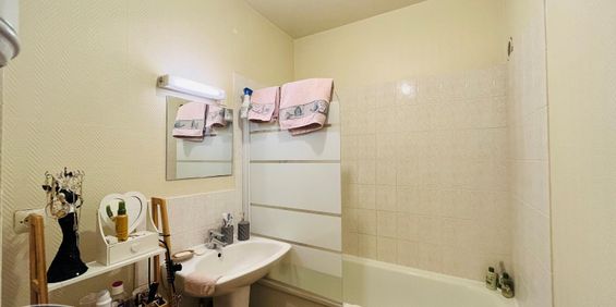 Location Appartement 1 pièce 25m² CHAMBRAY LES TOURS 37170 - Photo 3