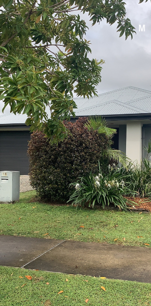 19 Cable Court, 4740, Blacks Beach - Photo 1