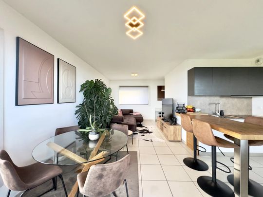 Location Appartement 2 pièces 50m² EVIAN LES BAINS 74500 - Photo 1