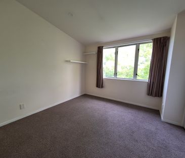 Mt Eden 2 Bedroom Terrace Home - Photo 6