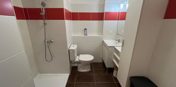 Location Appartement 1 pièce 27m² ALBI 81000 - Photo 3