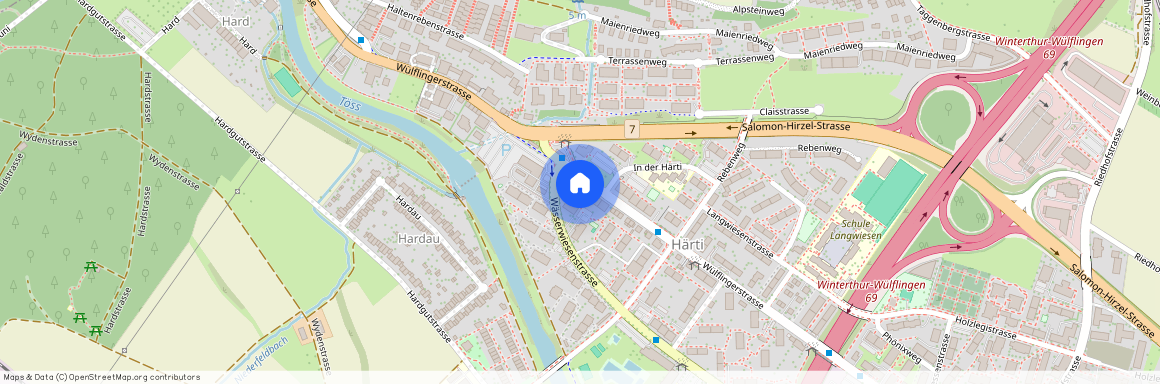 Wülflingerstr, 349, 8408 Winterthur